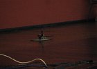 IMG 7381